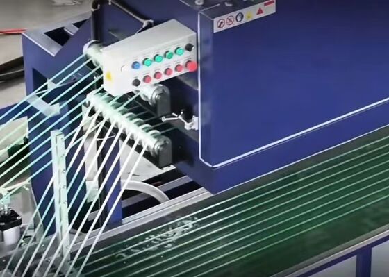 다재다능성: 다형 PET 추출