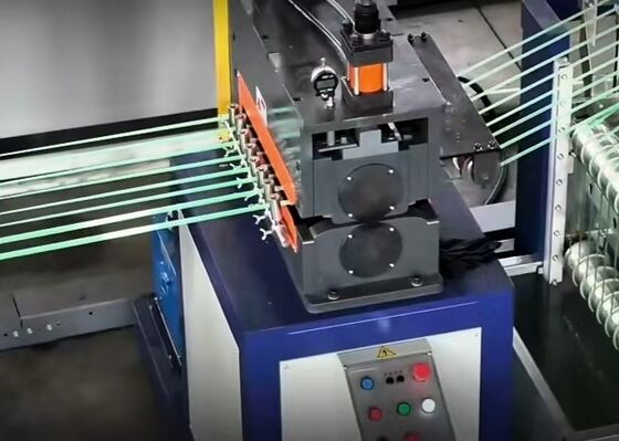 에너지 효율적인 지속 가능한 애완 동물 벨트 생산 라인 고급