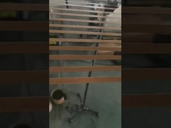 환경 친화적 인 종이 스트랩 생산 라인 / 제조 라인 / 제조 기계 5mm / 9mm / 12mm